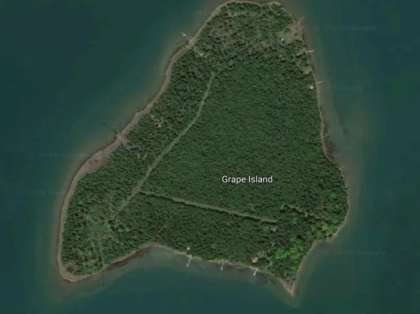 14 Of Theil Baileys Plat Grape Is, Drummond Island, MI 49726