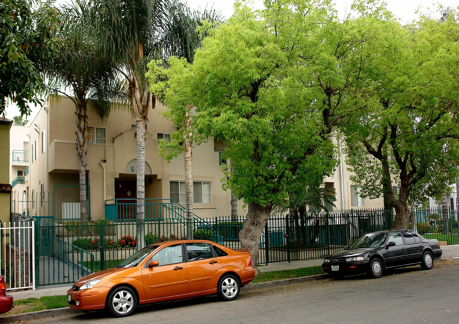1 bed, 1.0 bath, $982 — Photo 2