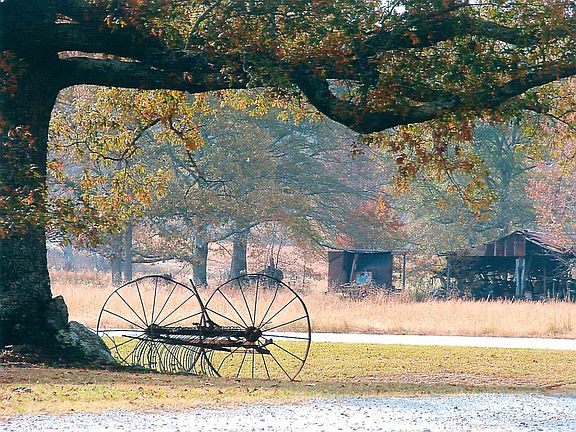View leaving driveway 