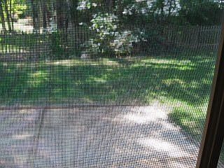 2% CASH REBATE toward DOWN PAYMENT