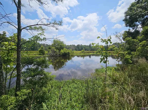 Chaney Rd, Zachary, LA 70791
