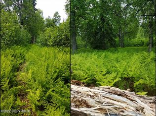 B17 L5 1 Rd, Talkeetna, AK 99676