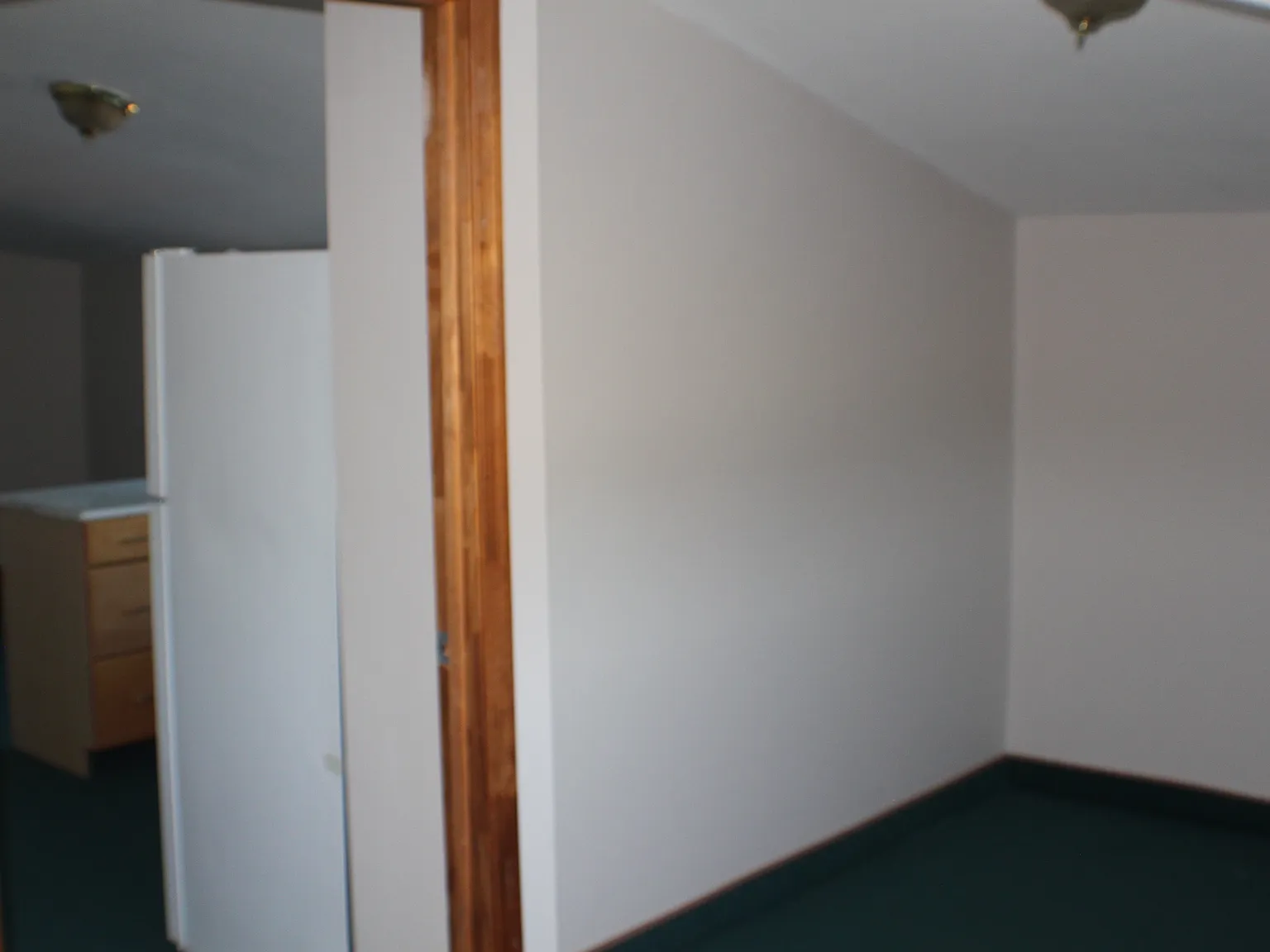 1 bed, $1,000 — Photo 4