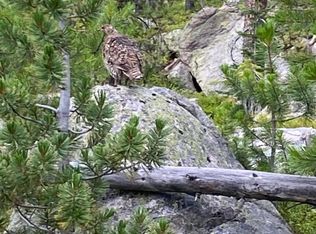 Nhn Michael Davitt Granite Access Rd, Philipsburg, MT 59858