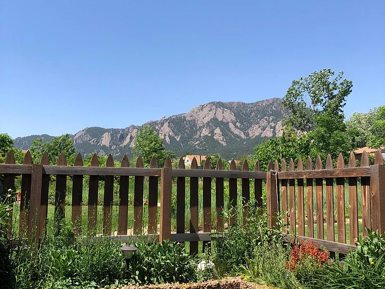 3365 Cripple Creek Trl — Photo 4