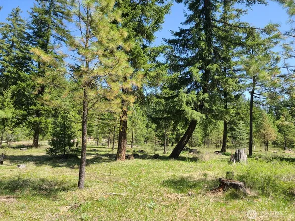 66 Wanawish Loop, Cle Elum, WA 98922