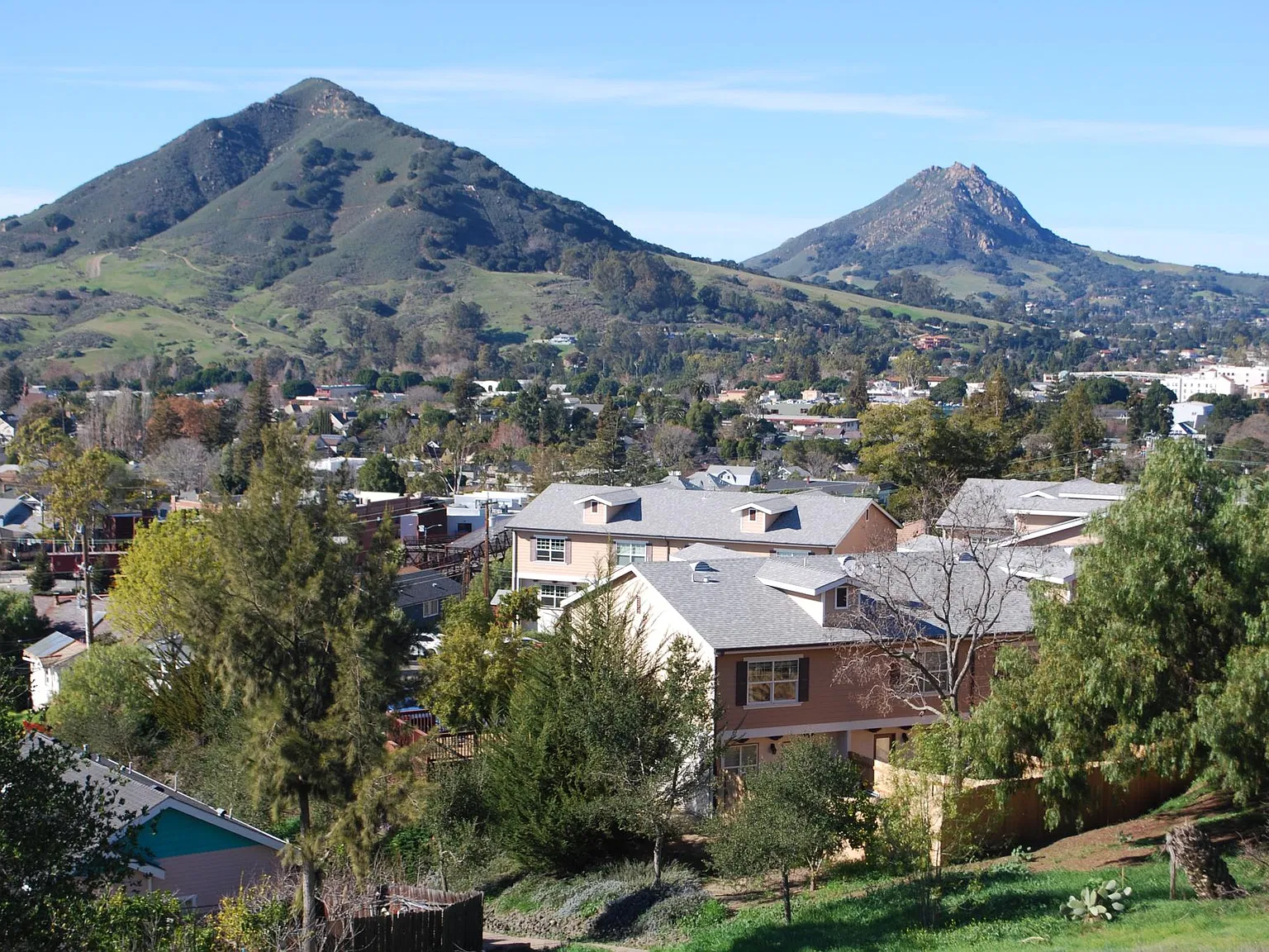 2 bed, 1.5 bath, 1088 sqft, $3,200 — Photo 3