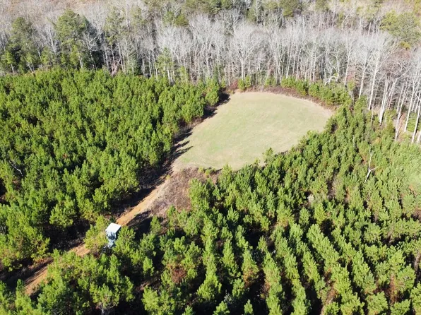 0 N County Highway 128, Winfield, AL 35594
