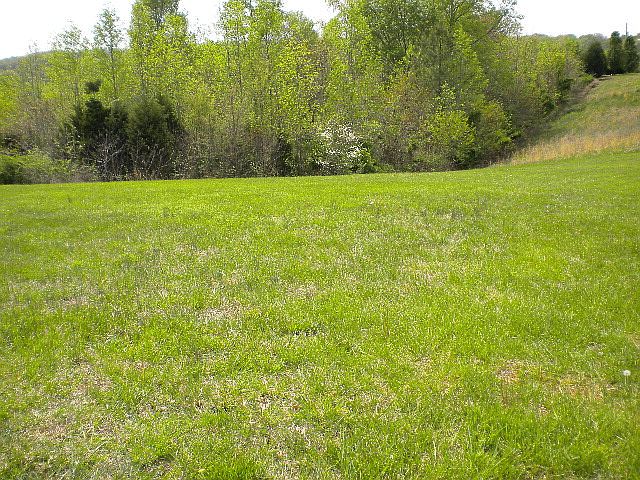 2nd image of Eagle Creek Rd