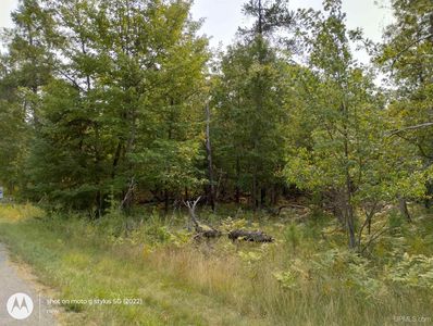 Schaawe Lake 24th Ln, Rapid river, MI, 49878