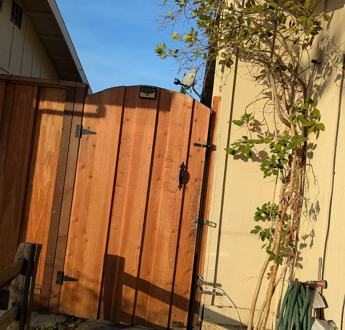2 bed, 500 sqft, $1,550 — Photo 4
