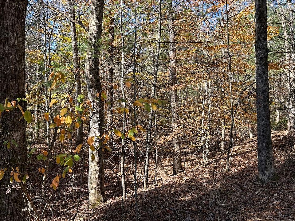 2nd image of LOT 1&5 Pearl Wright Rd