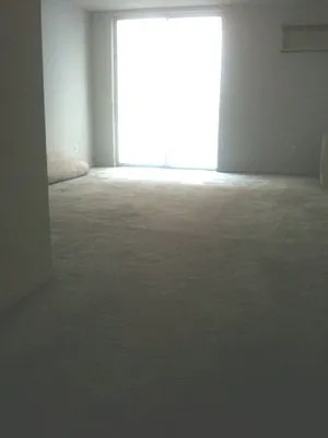 Rented by Citi Habitats | media 3