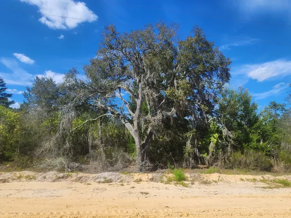 0 Birch St, Interlachen, FL 32148