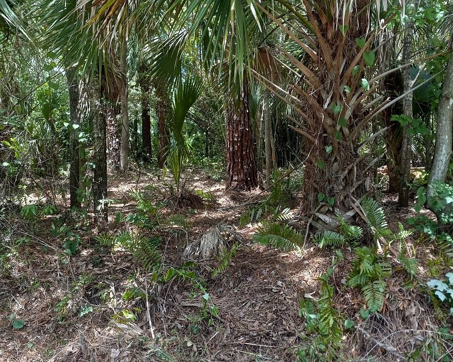 2nd image of 0 Miller Rd