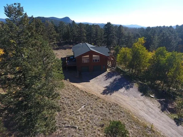 407 Pine Dr, Bailey, CO 80421