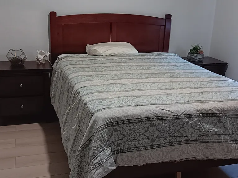 23761 Waterleaf Cir — Photo 2