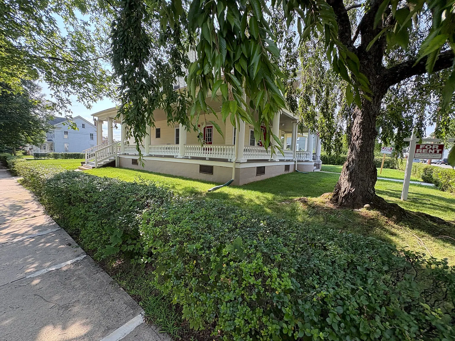 1 bed, $1,700 — Photo 2