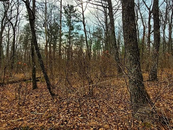 3rd image of 49 Raccoon Ridge Rd