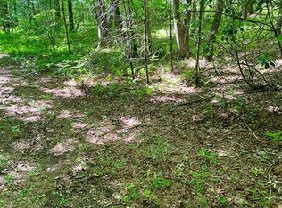 0 Deer Run Rd LOT 21 & 26, Robbinsville, NC 28771