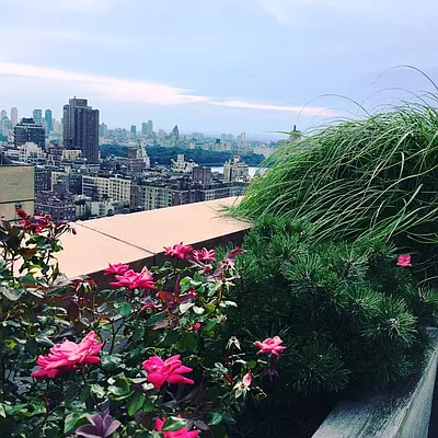 Sold by Corcoran | media 25