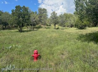 1127 Little Big Horn Rd, Alto, NM 88312
