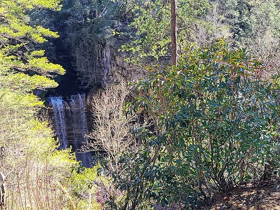 5th image of 0 Timberwood Trce #223