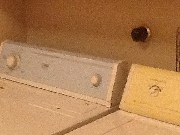 Washer dryer in laundry