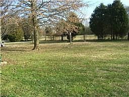 View of Backyard