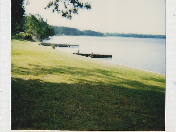 Canada Geese on shore