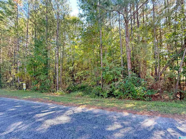20 Turkey Trail Rd #46, Odenville, AL 35120