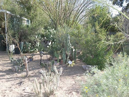 3rd image of 3527 W Quail Ave