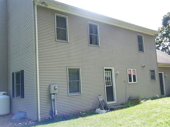 Back view