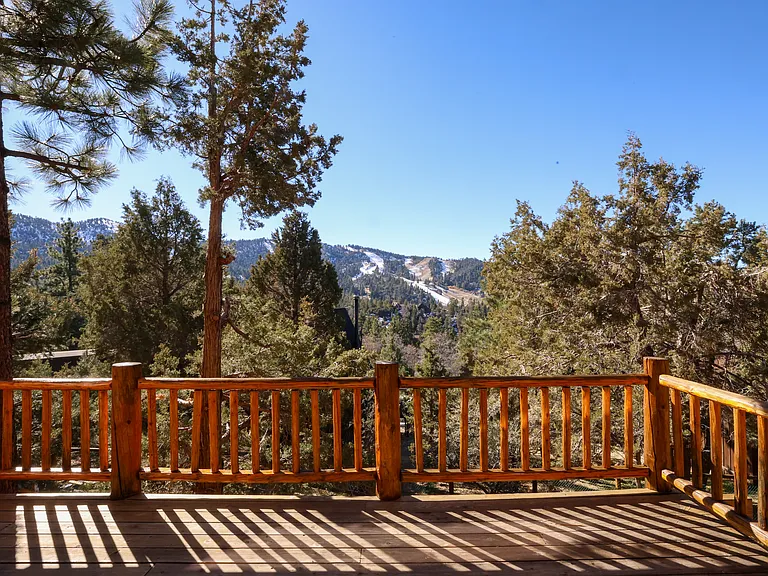 43615 Wolf Rd — Photo 12