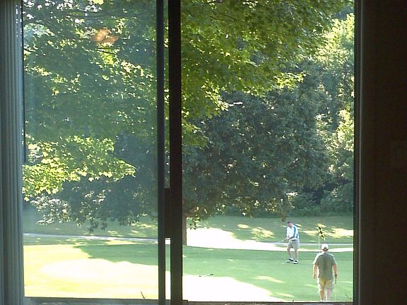 view from living room 