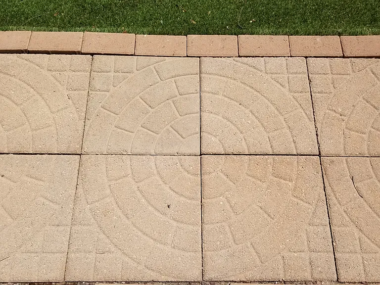 Pavers in Backyard