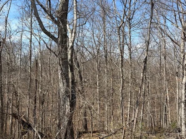 0 Treetop Ln, Nashville, IN 47448