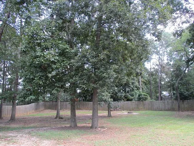 1015 Salford Pl — Photo 7