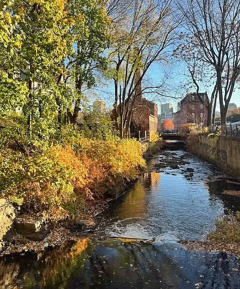Charles Landing — Photo 15