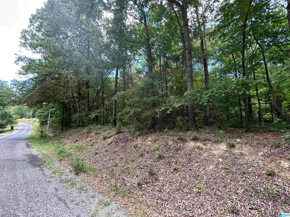 0 N Lakeshore Dr #98, Talladega, AL 35160