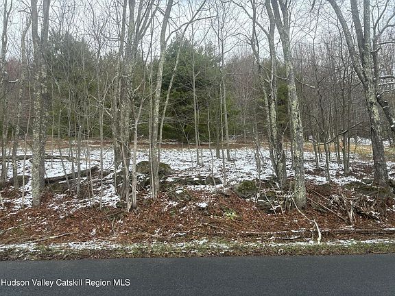 2nd image of 0 Peck Road