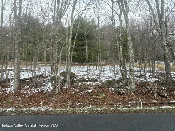 0 Peck Road, Windham, NY 12496