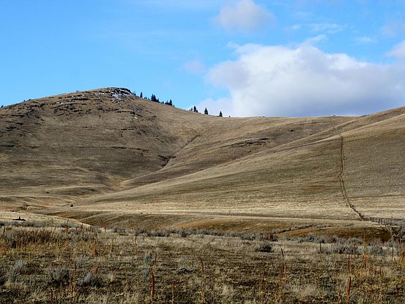 4th image of Nhn Hot Spgs