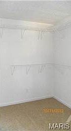 Huge walk in closet