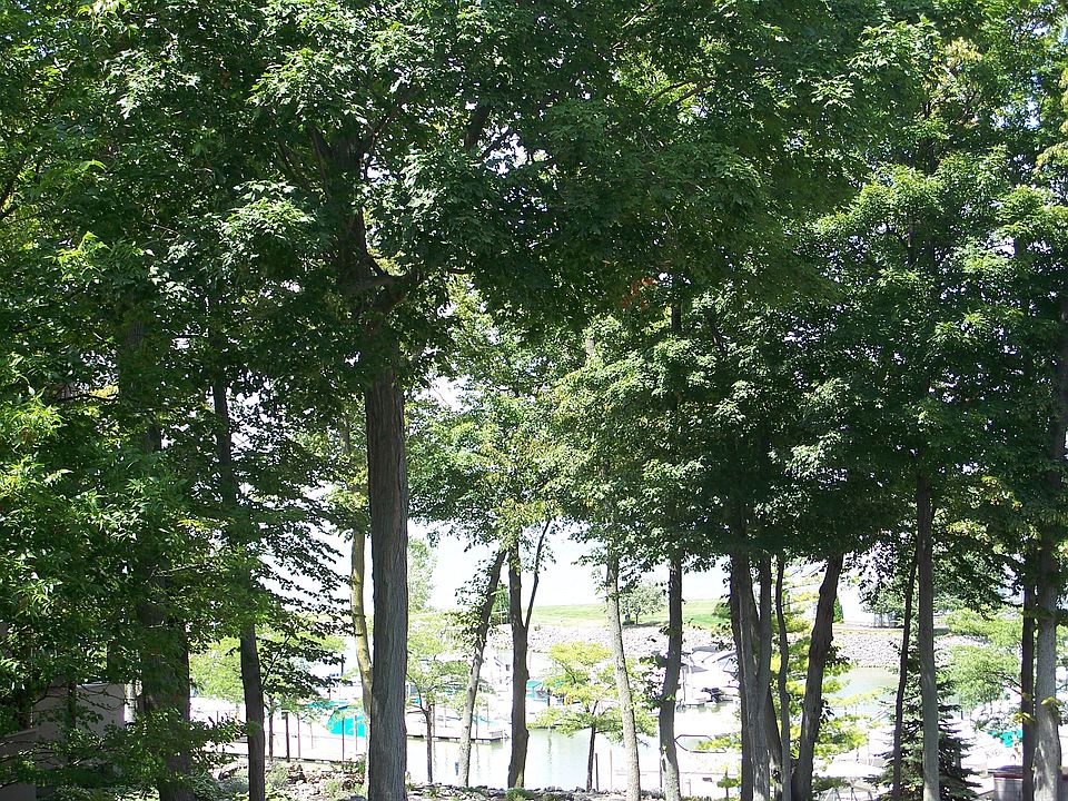 1st image of 4375B Marin Woods #B