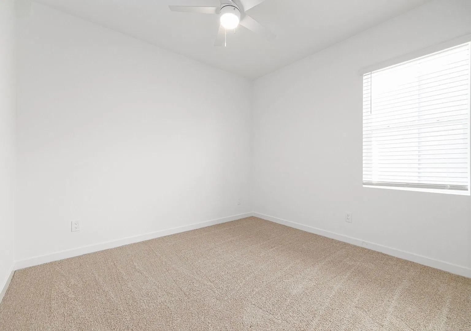 Olive Drive — Photo 2