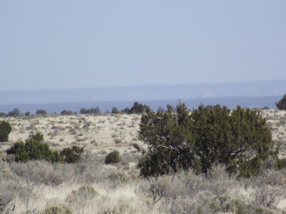 2nd image of 7296 Latigo Rd