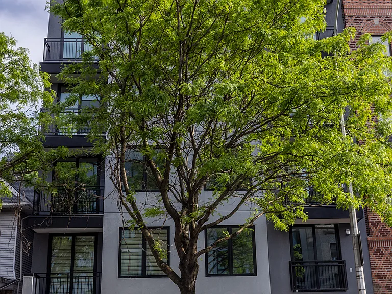 2316 Clarendon Rd #3B — Photo 11
