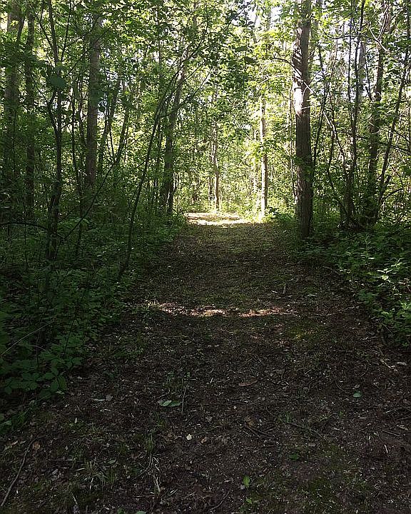 2nd image of 5587 25 Mile Rd