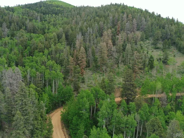 5895 Sledgers Road LOT 5895, Fort Garland, CO 81133